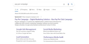 Read more about the article Dynamic Search Ads: A Deep Dive into Automated Advertising