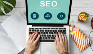 Read more about the article The Basics of SEO for Beginners in 2024