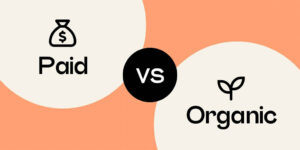 Read more about the article A Comparison of Paid and Organic Strategies in Digital Marketing