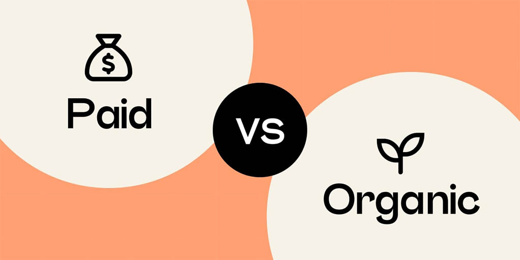 You are currently viewing A Comparison of Paid and Organic Strategies in Digital Marketing